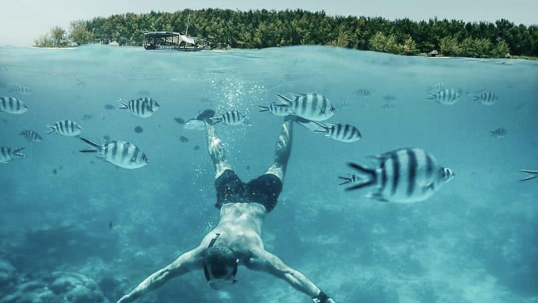Mnemba Island