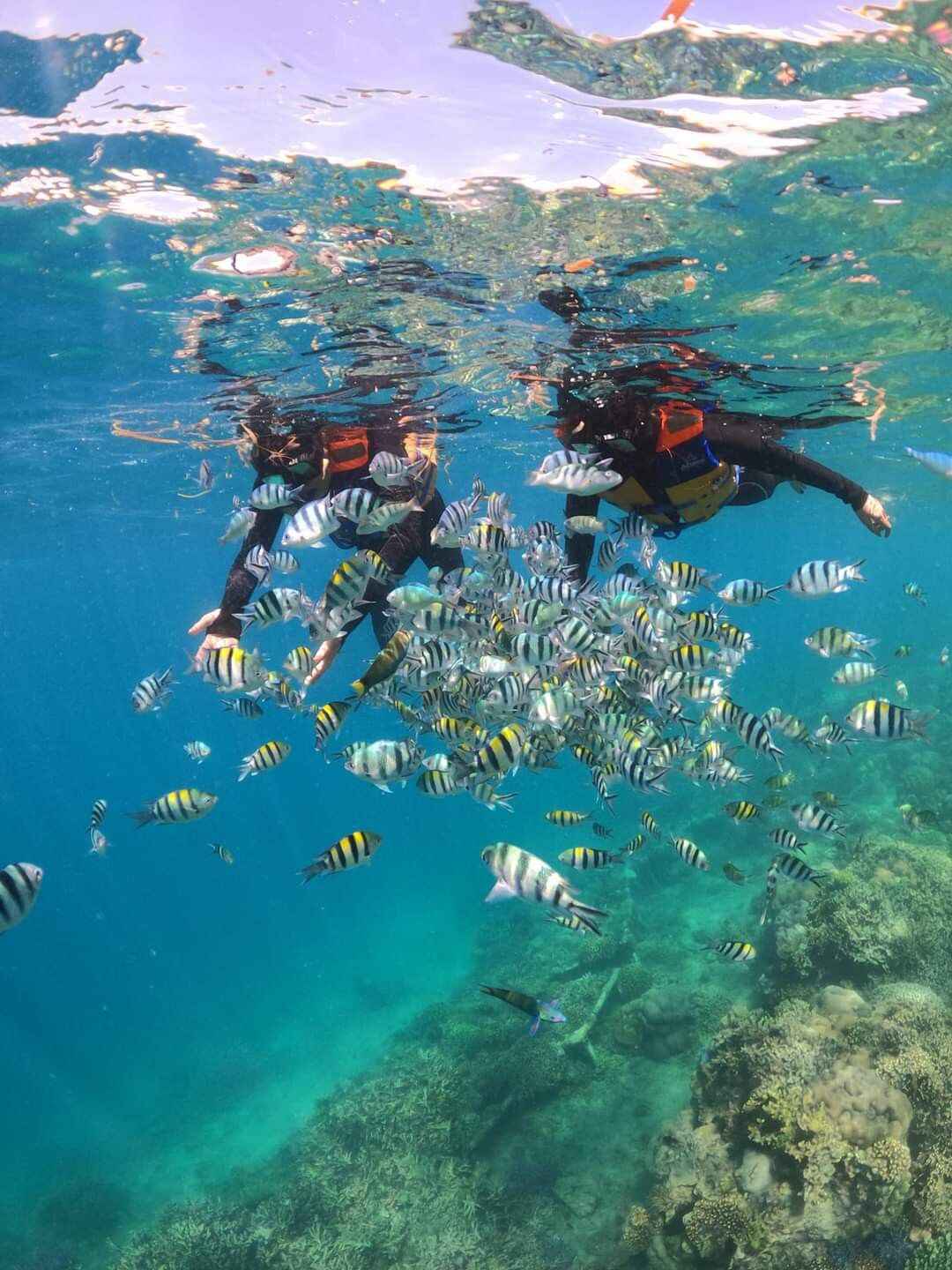 Snorkeling